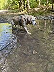 IMG_0277