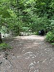 IMG_0275