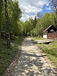 IMG_0272