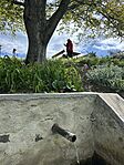 IMG_0229