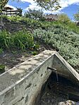 IMG_0231