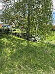 IMG_0234