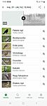 Screenshot_20260529_190533_Merlin Bird ID