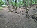 20260506_162055
