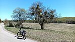 IMG_20260503_135800_821