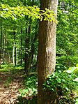 IMG_20260510_143623
