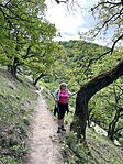 IMG_6726