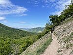 IMG_6738