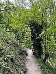 IMG_6740