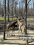 IMG_5124