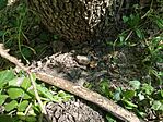 IMG_20260510_112427
