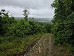 IMG_20260516_131456