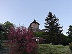 MVIMG_20260502_195058