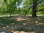 IMG_20260510_125059_419.jpg_compressed