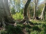 IMG_20260425_090042573_MFNR