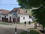 IMG_20260511_113901909_MFNR