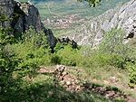 IMG_20260511_130432687_MFNR