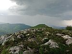 IMG_20260511_135717076_MFNR