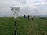IMG_20260511_141031786_MFNR