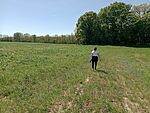 IMG_20260426_135319797_MFNR