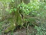 IMG_20260426_140451942_MFNR