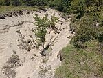 IMG_20260526_132817554_MFNR