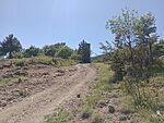 IMG_20260526_142821337_MFNR