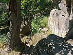 IMG_20260526_150805947_MFNR