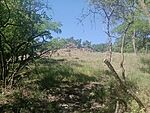 IMG_20260526_152946757_MFNR