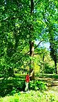IMG_20260503_115923_1