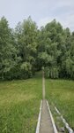 log-image-1780135521687-0