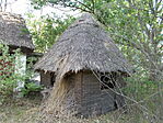 Nádkunyhó