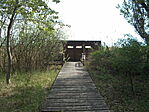 Madármegfigyelő