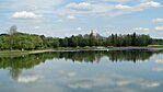 DSC01517