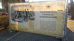 IMAG0303