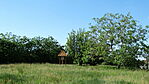 DSC01717