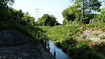 DSC01739