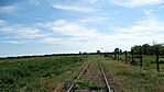 DSC01859