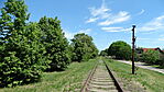 DSC01951
