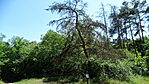 DSC02229