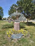 GCVIVE_20260506_134542