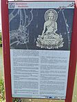 IMG_20260503_142028