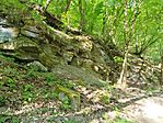 IMG_20260503_084130