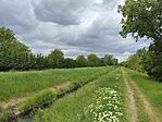 IMG_20260507_133613