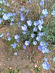 IMG_20260507_102838