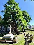 IMG_20260508_100707