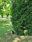 IMG_20260508_100623