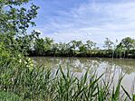 IMG_20260510_150924