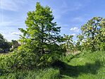 IMG_20260510_152659
