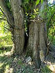 IMG_20260510_115121